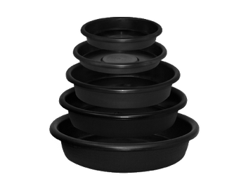 Mondi Saucer
